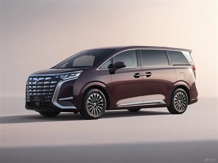Denza D9 Pioneer Four Seats Luxury MPV